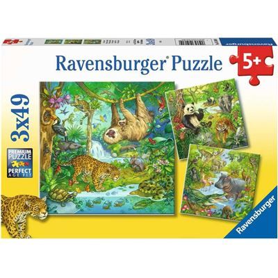 Spiel 6474.0
